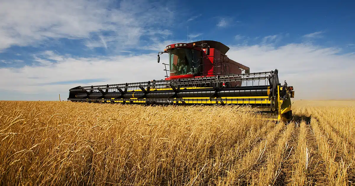 Micro BA (Bénéfice Agricole) : régime adapté aux exploitants agricoles